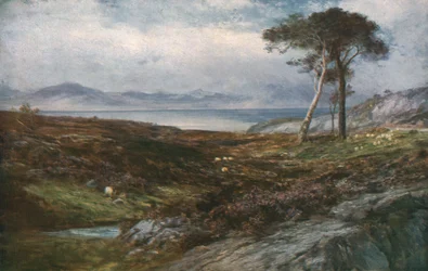 Heide: Schotse Hooglanden, ca. 1910, ca. 1930