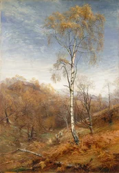 De dame van het bos