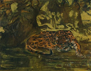 Een jaguar, ca. 1900