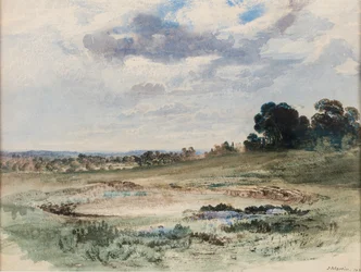 Landschap (Mogelijk Richmond Park, Londen)