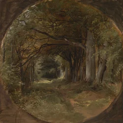 Landschap