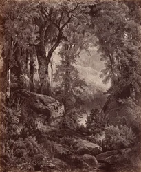 Eenzaamheid,1865 (foto)