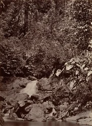 Tropisch Landschap, Waterval, Limon Rivier