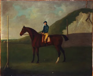 "Creeper", een bruine hengst met jockey bij de start in de Devils Ditch, Newmarket
