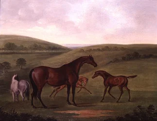 Merrie met veulens in een landschap