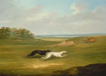 Hardlopen, een coursing scène