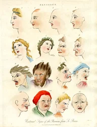 Uiterlijke tekenen van de passie van Le Brun