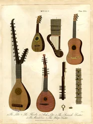 De luit; de theorbe; de boogluit; de Spaanse gitaar; de mandoline; de harp-gitaar