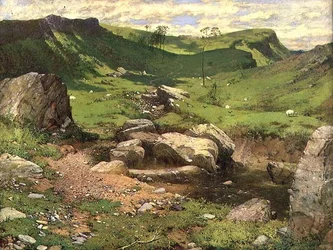 Een rotsachtige stroom in een bergachtig landschap