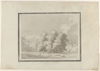 Paardenkastanje