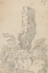 Perpendiculaire Rots en Bomen