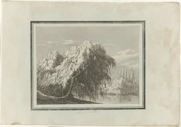 Treurwilg