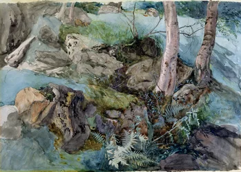 Studie van rotsen en varens in een bos bij Crossmount, Perthshire, 1843