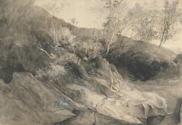 De rotsachtige oever van een rivier
