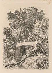 Liber Studiorum: Plaat 11: Parsons Bridge, Cardingshire, 1838