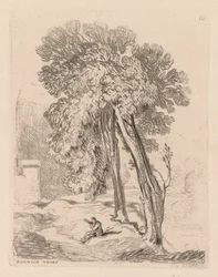 Liber Studiorum: Plaat 18, Bomen in Norwich Thorp, Norfolk, 1838