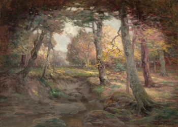 Rand van het bos