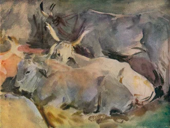 Ossen in Siena
