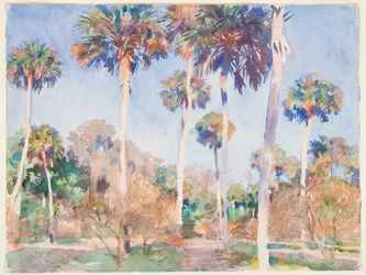 Palmen, 1917