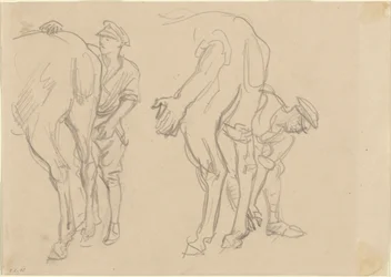 Studies voor "Scots Grey"