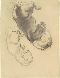 Studies voor 