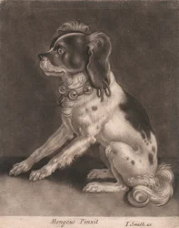 Een Hond met een Belkraag