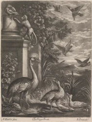 De Koningsvogels