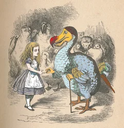 Alice en de Dodo