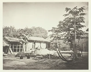Een Pepohoan-woning