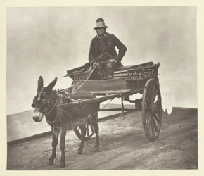 Zwarte Jack