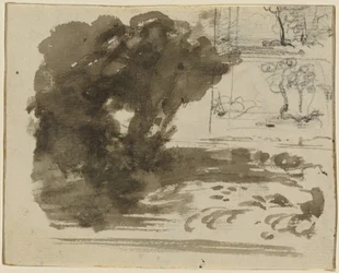 Een groep bomen