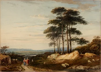 Landschap