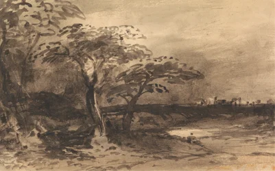 Rivier, Bomen en een Verre Stad