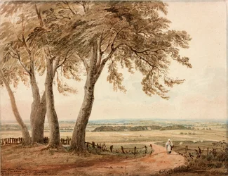 Uitzicht vanaf Polsden bij Bookham in Surrey
