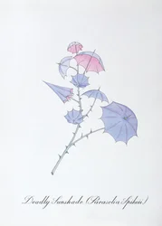 Dodelijke Parasol (Parasolia Spikeii.), illustratie uit 