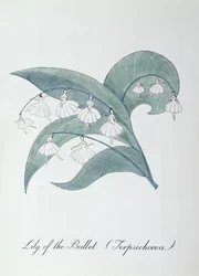 Lelie van het Ballet (Terpsichorea.), illustratie uit 