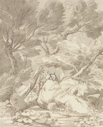 Figuren op een rotsachtige rivierbank bij Canonteign, Devon