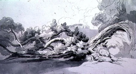 Landschap met ontwortelde boom