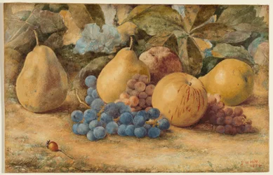 Stilleven van fruit: appels, peren en druiven op de grond