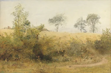 De vleermuis begint met duizelige vleugel - Gerstveld over de heg, 1885