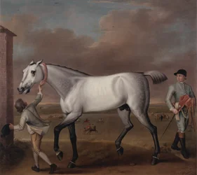 De grijze renpaard 