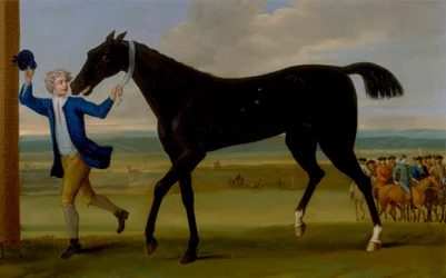 De Bonny Black van de Hertog van Rutland