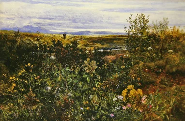 Uitgestrekt landschap met wilde bloemen, ca. 1855-1860