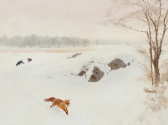 Red Fox Winterjacht