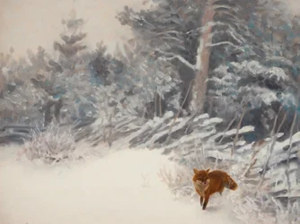 Winterbosvos