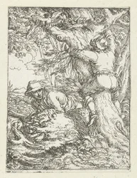 De nestuithaler, Nestrovers