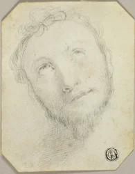 Hoofd van man met baard die omhoog kijkt