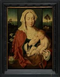 Heilige Maagd met slapende baby Jezus