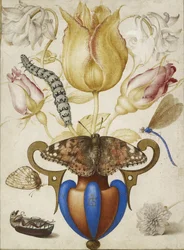 Schikking van bloemen in een vaas, met insecten, 1594 (aquarel met goud op perkament)