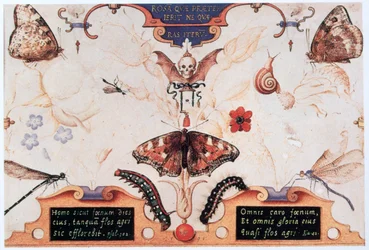 Diptiek met bloemen en insecten, 1591